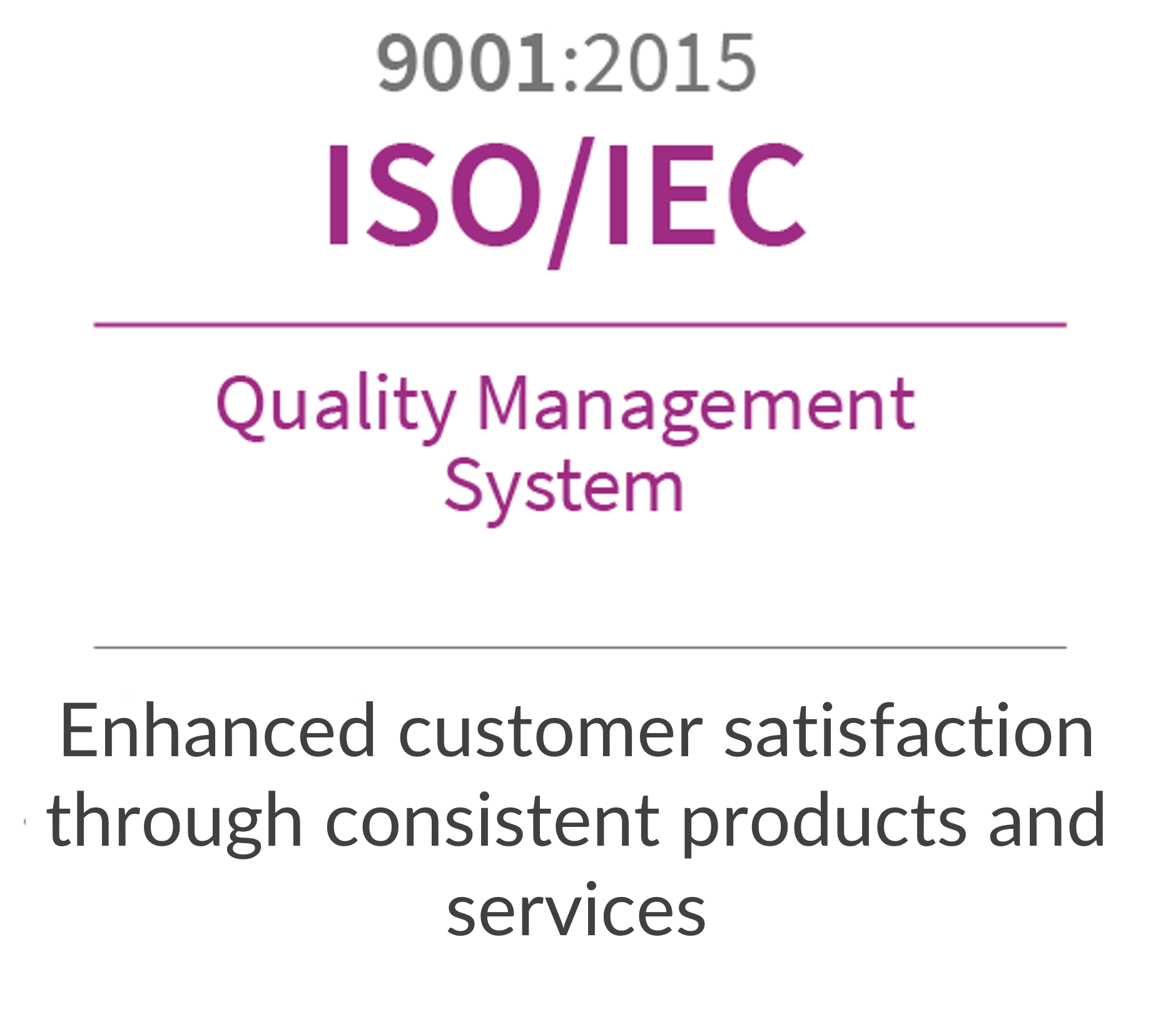 ISO 9001 website